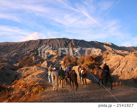 インドネシア ブロモ山 インドネシア ブロモ山 2541927