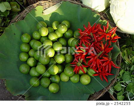 柑橘類と赤トウガラシ(シェムリアップ/カンボジア) 柑橘類と赤トウガラシ(シェムリアップ/カンボジア) 2542255