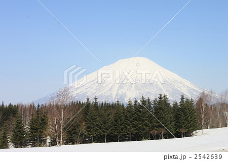 羊蹄山 2542639