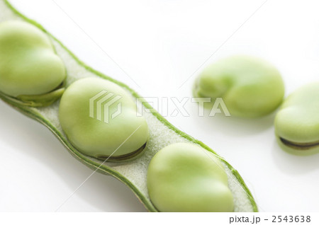 そらまめ 2543638