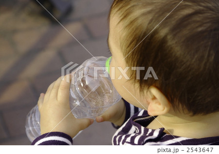 水を飲む 2543647