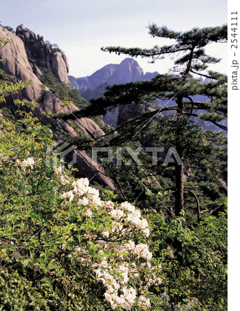 黄山風景区 黄山風景区 2544111