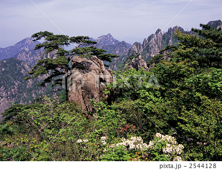 黄山風景区 2544128