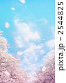 桜の背景 2544825