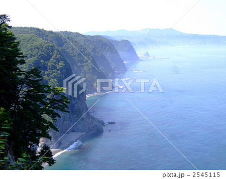 鵜ノ巣断崖 2545115