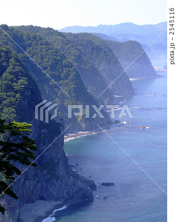 鵜ノ巣断崖 2545116