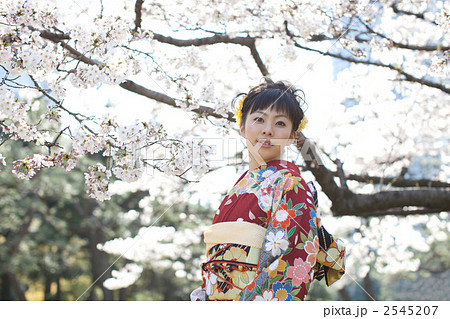 振り袖姿の女性と桜 2545207