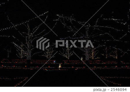 12月 水辺の樹木・イルミネーション38 12月 水辺の樹木・イルミネーション38 2546094