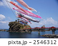 弁天岩の鯉のぼり 2546312