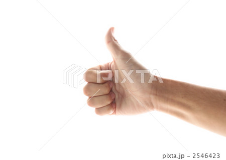 2546423