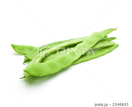 モロッコインゲン 2546835