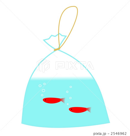 金魚すくい 金魚すくい 2546962