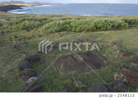 世界遺産　ラパ・ヌイ国立公園　倒され、埋まっているモアイの顔。チリ・イースター島。２０１０年７月撮影 2548113