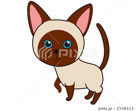 猫（シャム） 2548313
