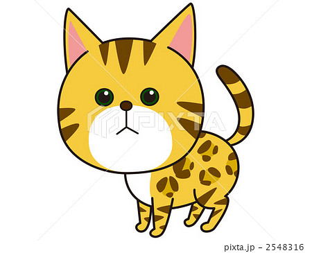 猫（ベルガー） 2548316