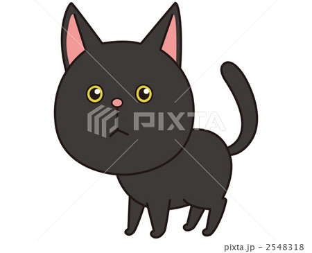 猫（ボンベイ） 2548318