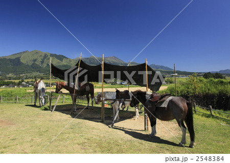 秋の阿蘇山 2548384