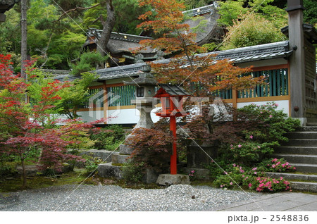 京都 鍬山神社の新緑 京都 鍬山神社の新緑 2548836