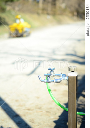 ガーデニング 2550184