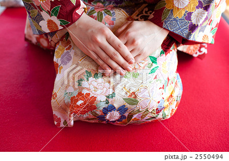 着物の女性 2550494