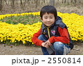 花壇 2550814