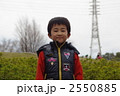 公園 2550885
