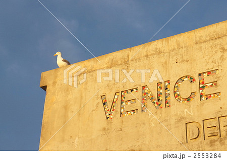 ベニスビーチ 2553284