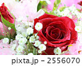 バラ バラ 2556070