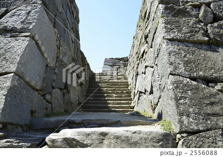 福岡城址 2556088