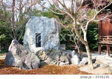 史跡御土居の紅葉 2556130