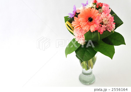 Bouquet 2556164