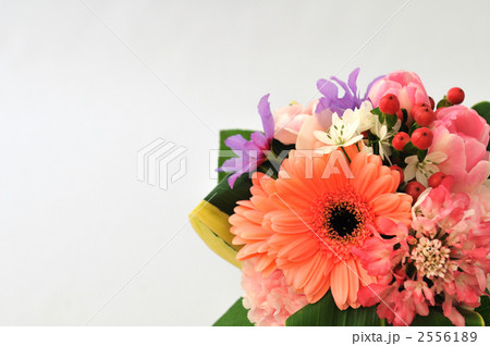 Bouquet Bouquet 2556189