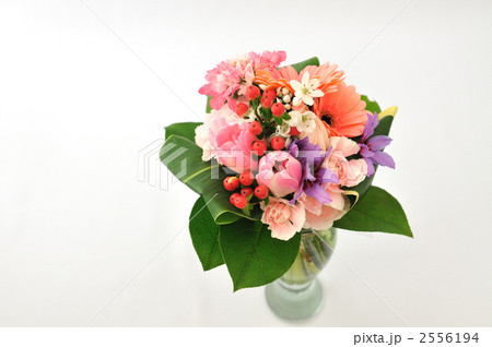 Bouquet Bouquet 2556194