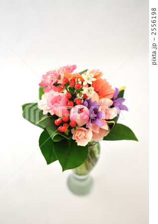 Bouquet 2556198