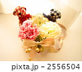 母の日フラワーギフト 2556504