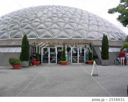 クイーンエリザベスパーク　温室 2556631