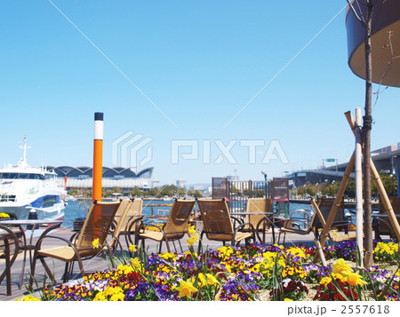 ベイサイドの春 ベイサイドの春 2557618