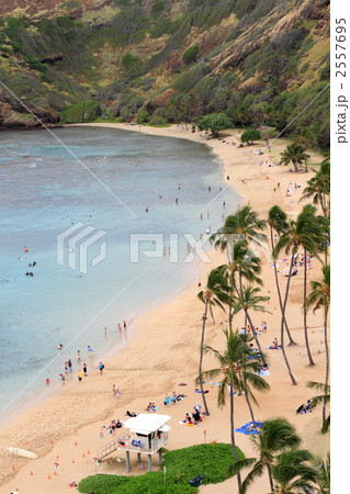 ハナウマベイ 2557695