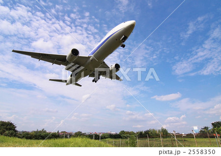 青空の出発 青空の出発 2558350