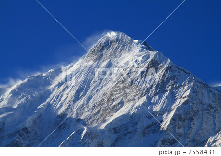 ニルギリと青空 2558431