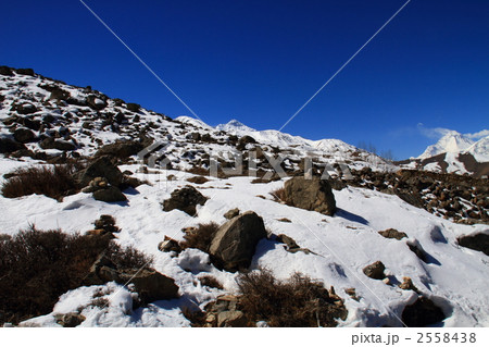 ムクティナートにて 2558438