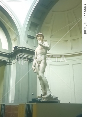 ダビデ1995 ダビデ1995 2558863