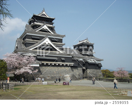 熊本城と桜 2559355