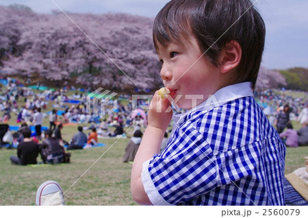 花より団子 花より団子 2560079