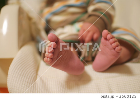 子供の足 2560125