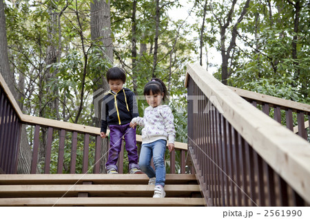 階段を降りる子供たち 2561990