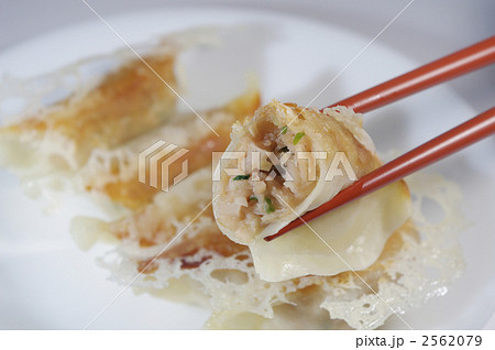 餃子 餃子 2562079