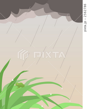 雨とカエル 雨とカエル 2562786