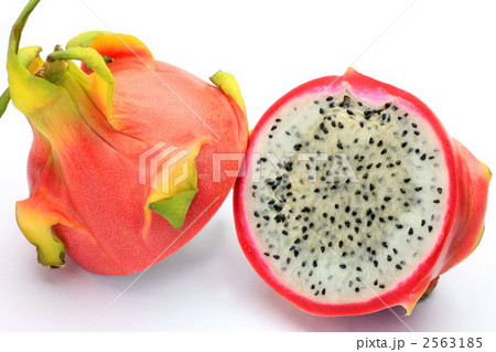ドラゴンフルーツ ドラゴンフルーツ 2563185
