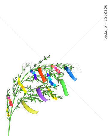 七夕の笹飾り 七夕の笹飾り 2563306